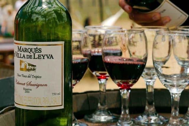 Visit to the Marques Villa de Leyva Vineyard