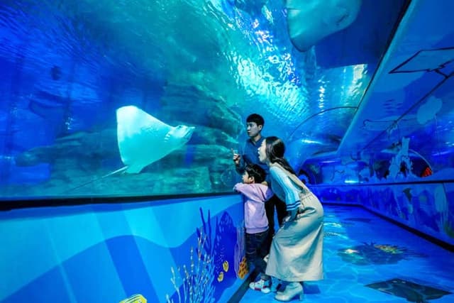 Busan Aquarium Tickets