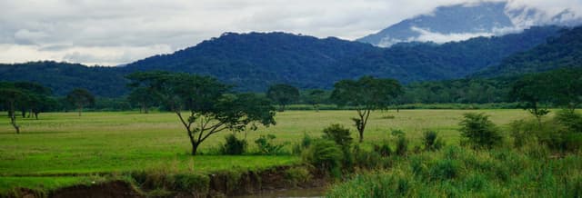 Carara National Park Tour