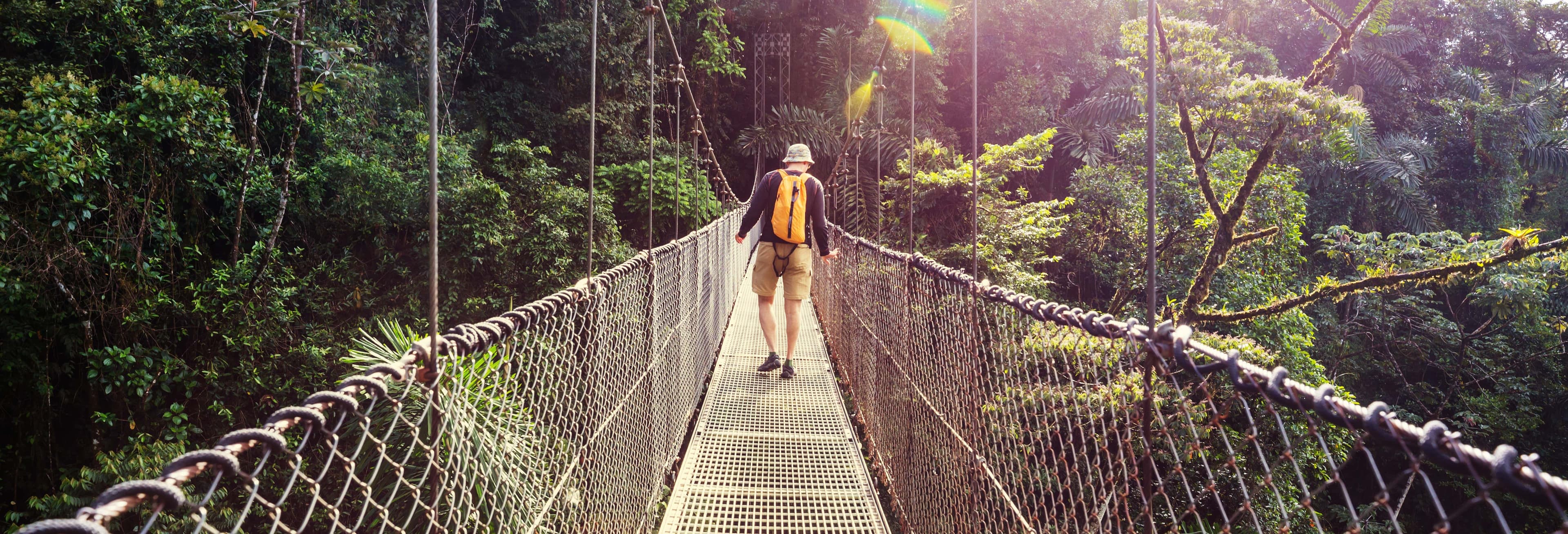 Arenal Hanging Bridges Tour