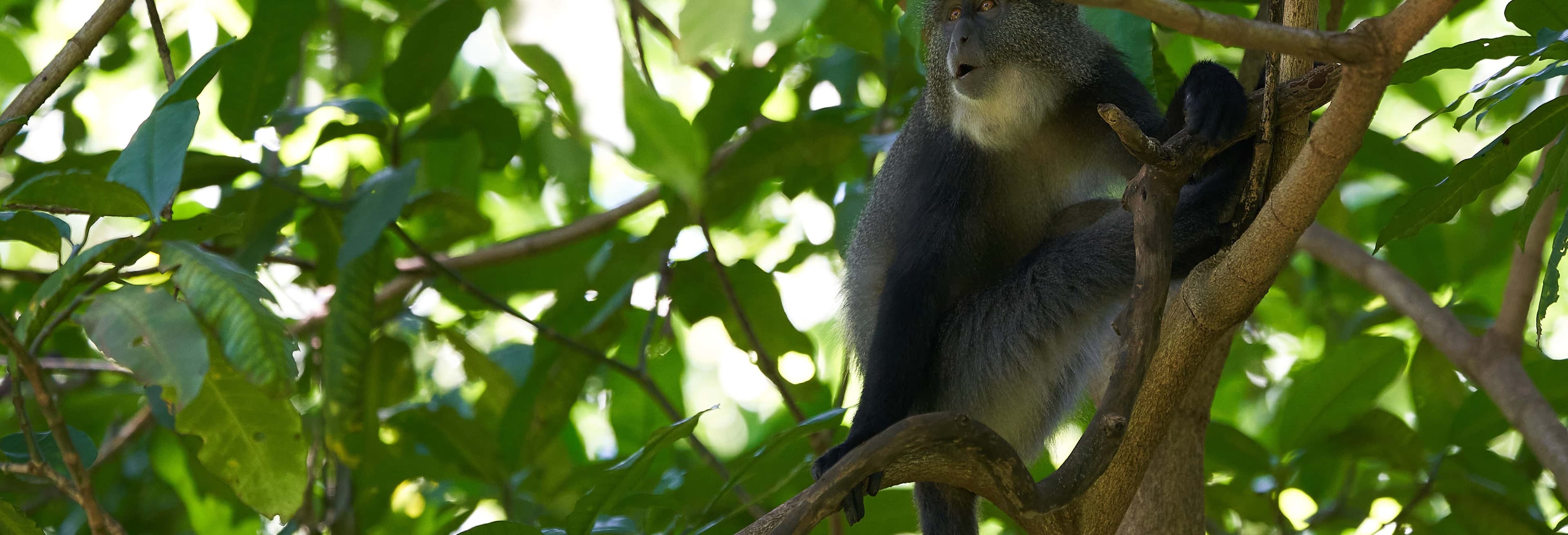 Curi Cancha Reserve Tour