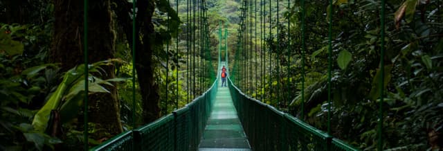 Monteverde Cloud Forest Suspension Bridges Tour