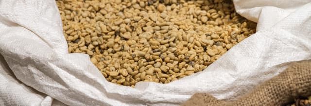 Hacienda Doka Coffee, Grecia & Sarchí Tour