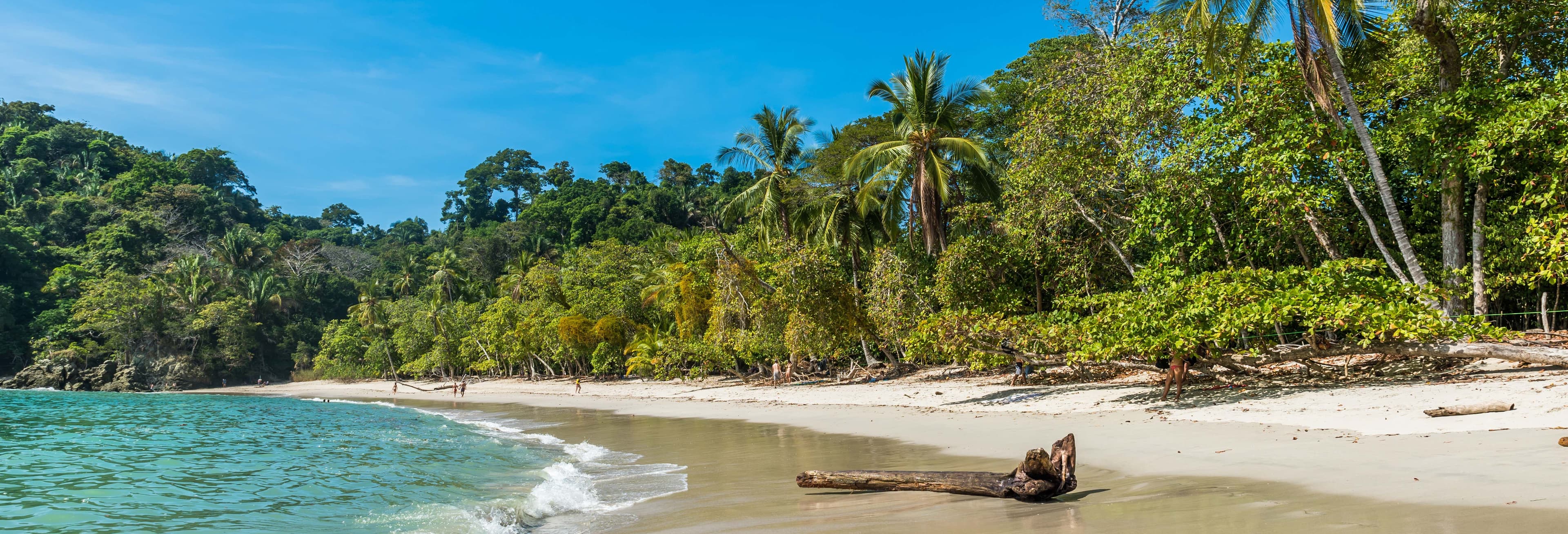 Manuel Antonio National Park Day Trip