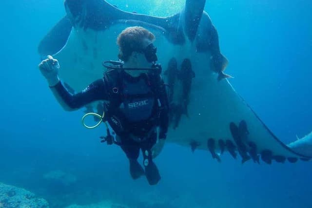 Diving in Puerto López