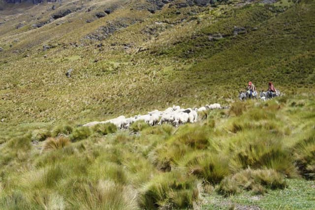 Inca Trail 3-Day Hike