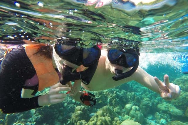 Snorkel in Sharm El Luli + Wadi El Qulaan