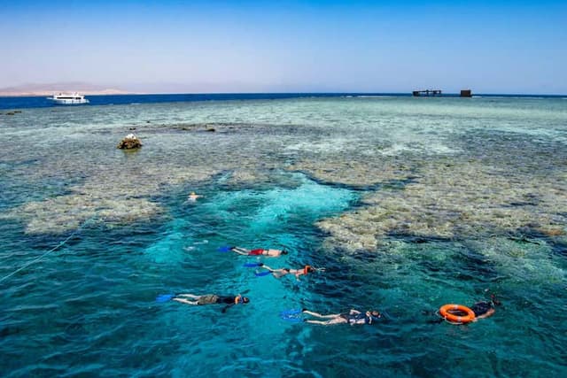 Snorkelling on Tiran Island
