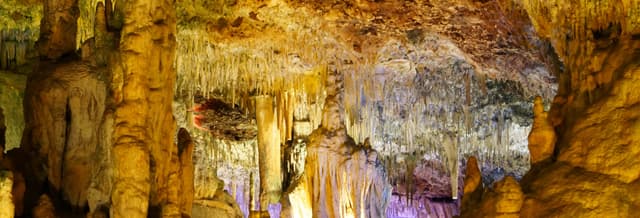 Hams Caves & Dinosaurland Trip