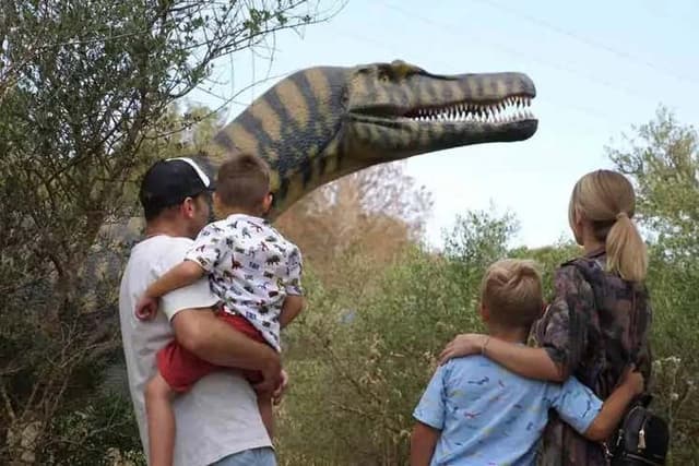 Hams Caves & Dinosaurland Trip
