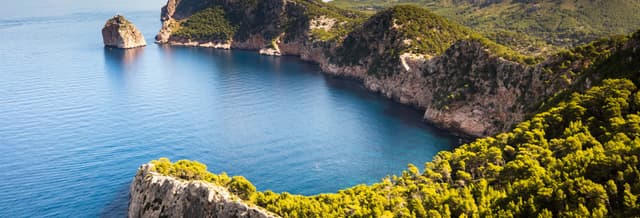 Formentor Sightseeing Tour & Boat Trip