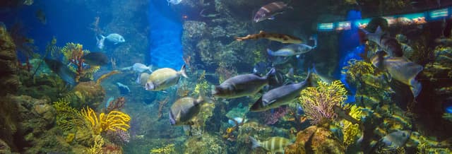 Barcelona Aquarium Ticket