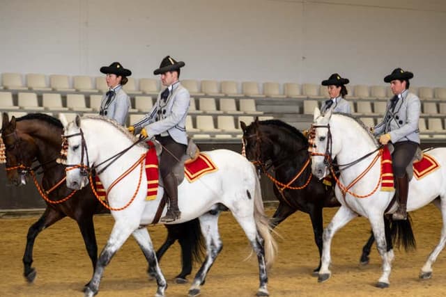Equestrian Show in Carmona