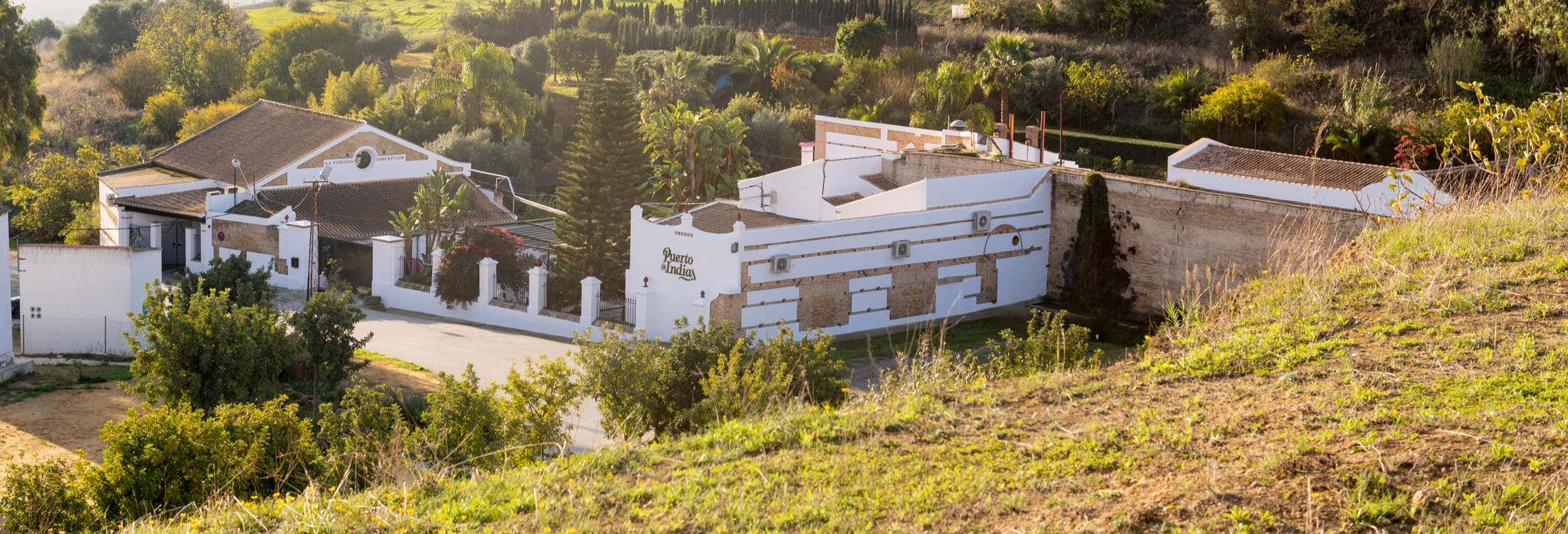 Seville Gin & Spirit Tours: Puerto de Indias