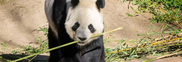Madrid Zoo Aquarium Tickets