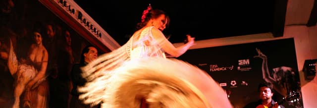 Flamenco Show & Dinner at Corral de la Morería