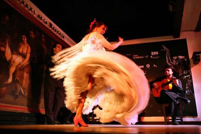 Flamenco Show & Dinner at Corral de la Morería