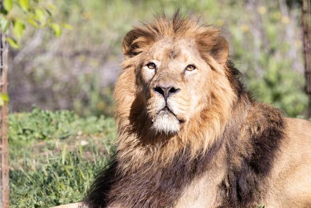 Madrid Zoo Aquarium Tickets