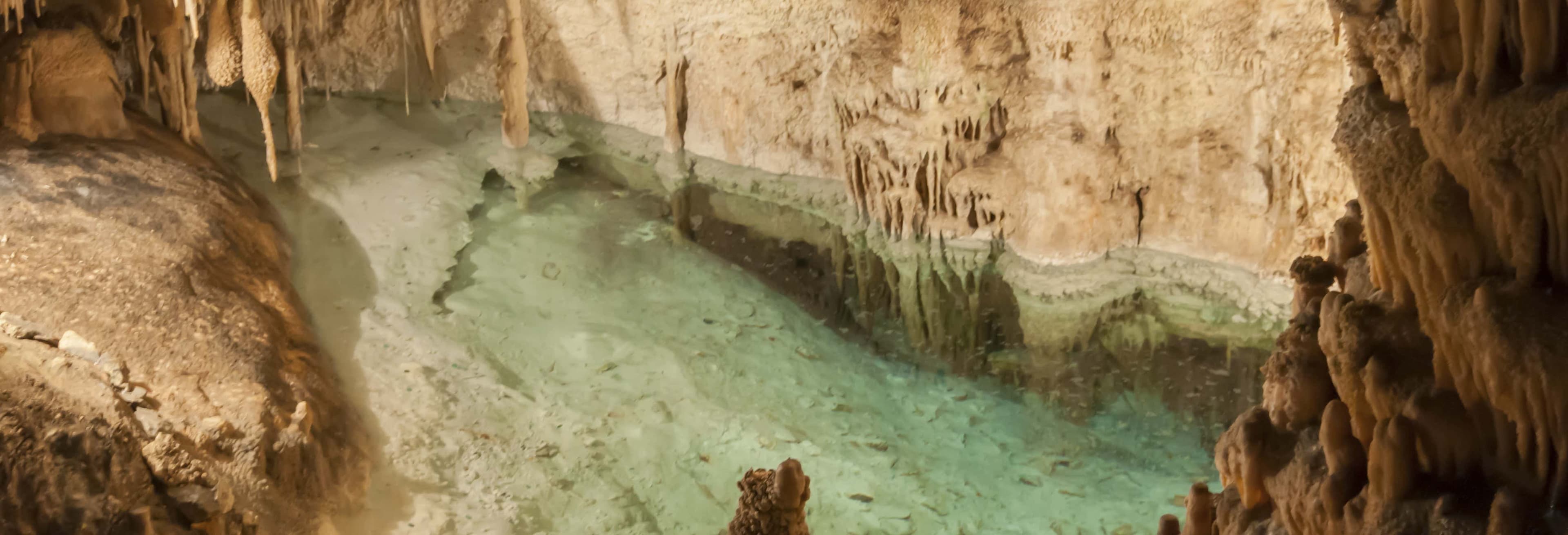 Cuevas del Drach Tour: Palma de Mallorca Magic