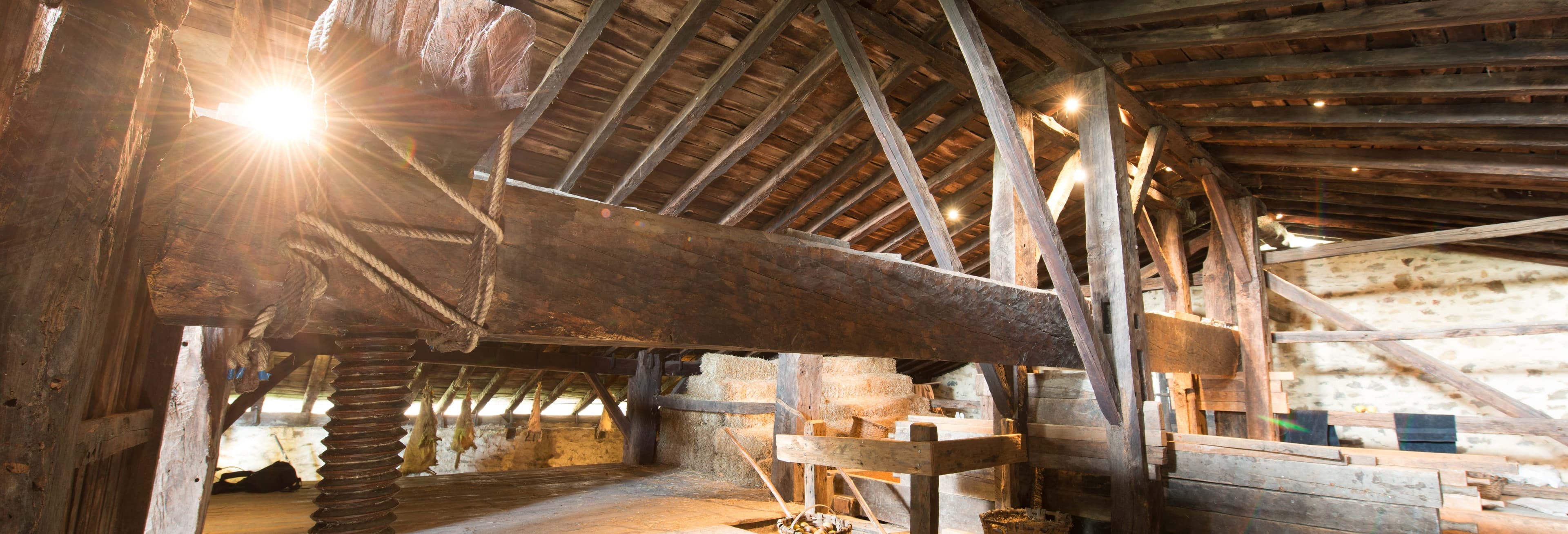 Authentic San Sebastian Cider House Experience & Food Tour