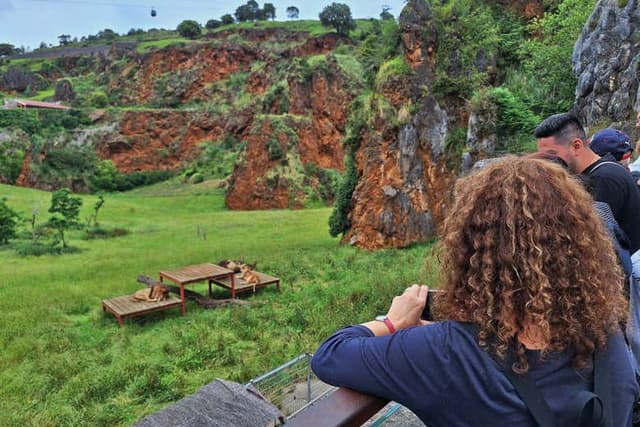 Cabarceno Nature Park Tour