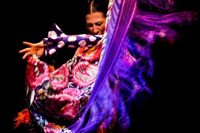Seville Flamenco Dance Museum Show
