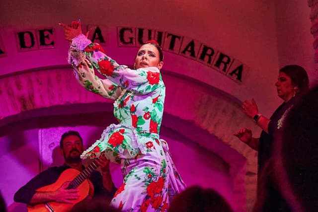 Flamenco Show at Casa de la Guitarra