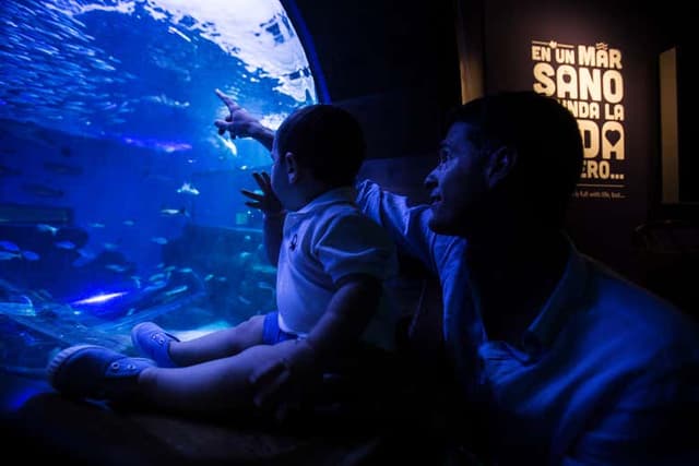 Seville Aquarium Ticket