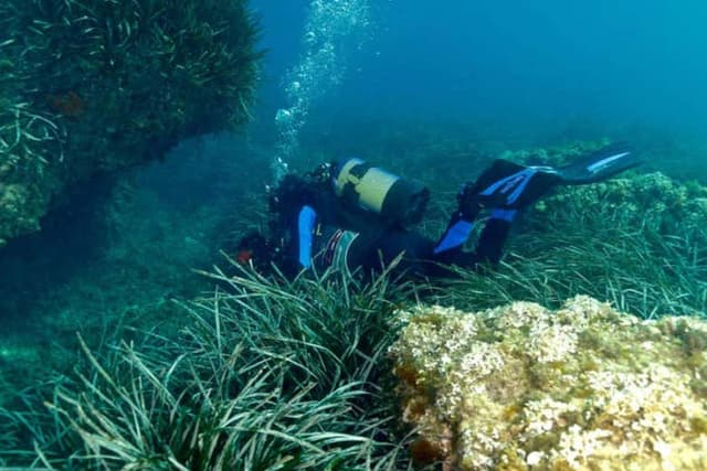 Beginner's Scuba Dive in Tarragona