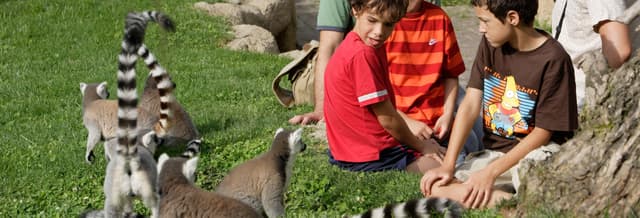 Bioparc Valencia Ticket