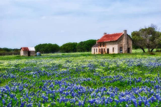 Texas Hill Country Tour