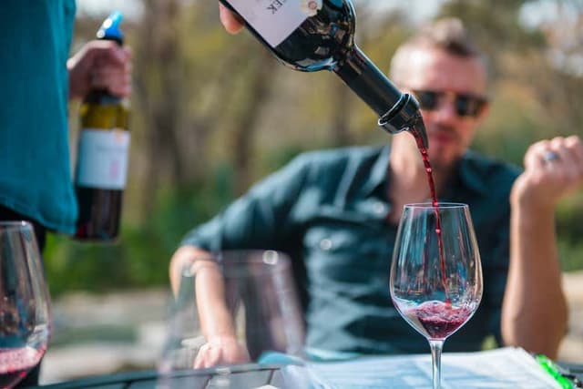 Texas Hill Country Wine Tasting + BBQ