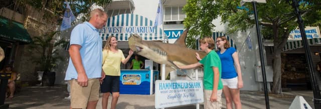 Key West Aquarium Ticket