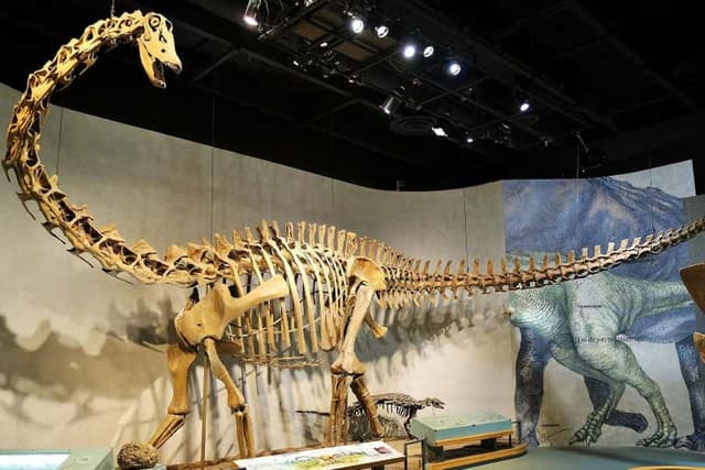 Denver Museum of Nature & Science Ticket + Audio Guide