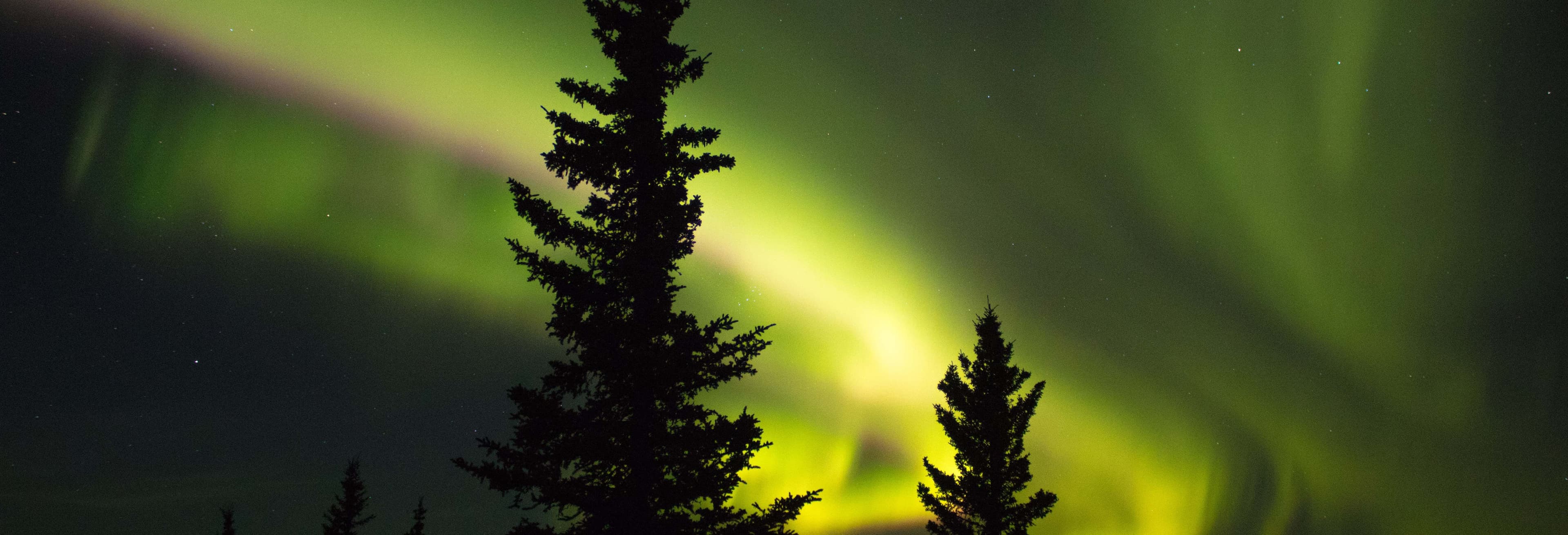 Fairbanks Aurora Tour: See the Northern Lights