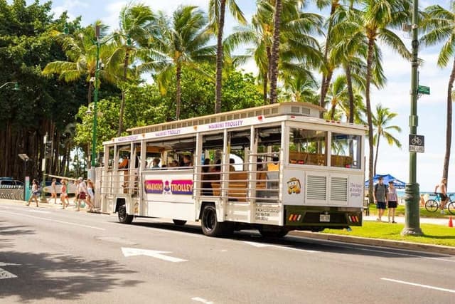 Waikiki Trolley Hop-on Hop-off Tour