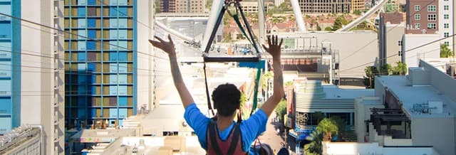 Fly LINQ Ticket