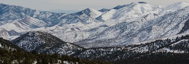 Day Trip to Mt. Charleston