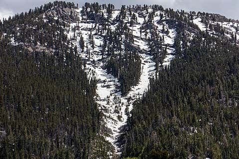Day Trip to Mt. Charleston