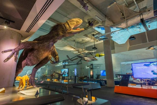 Miami Museum of Science Tickets