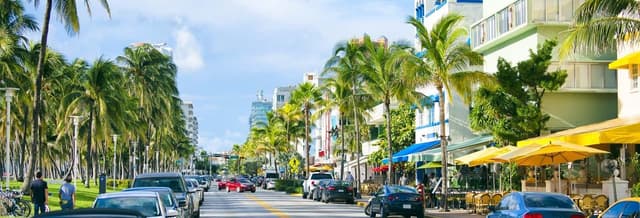 Miami Pre-Cruise Tour + Airport Pickup and Cruise Port Drop-Off