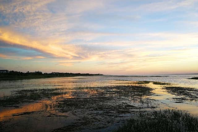 The Hamptons Day Trip