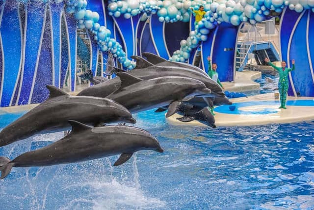 Madame Tussauds & SEA LIFE® Orlando Combo Ticket