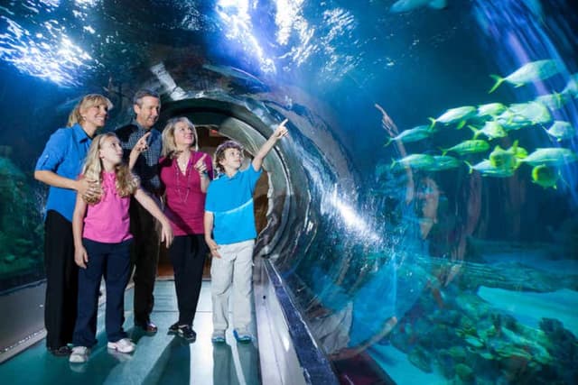 SEA LIFE® Orlando Ticket