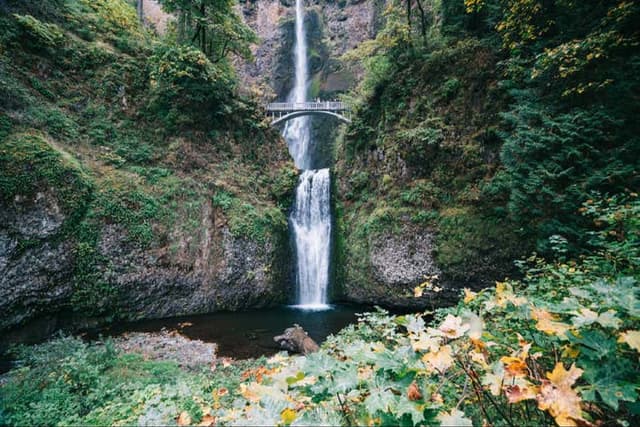 Multnomah Falls and Mount Hood Tour