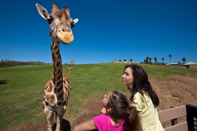 San Diego Zoo Safari Park Ticket
