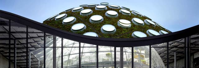 California Academy of Sciences Ticket