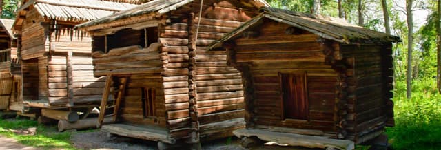 Helsinki City Tour + Seurasaari Open-Air Museum