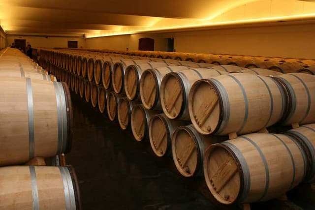 Châteauneuf du Pape Day Trip