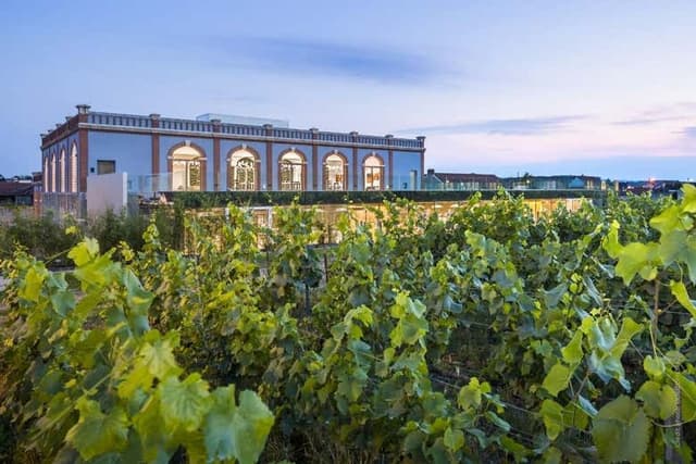 Pressoria Wine Museum Ticket & Champagne Tasting